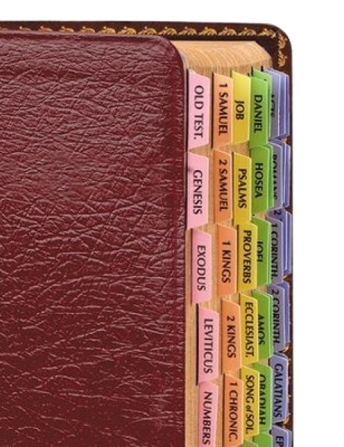 Rainbow Bible Tabbies