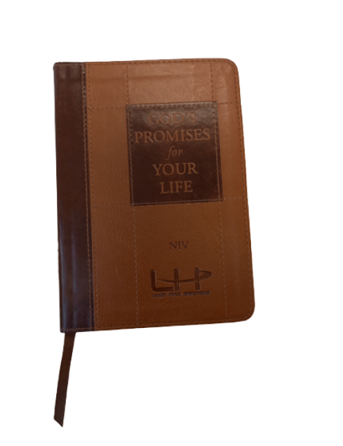 God’s Promises For Your Life NIV